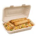 Fried Rice with 2pcs Pork Lumpia